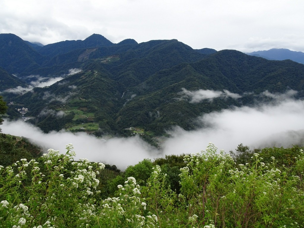 A (24)-1.jpg A (24)-1.jpg