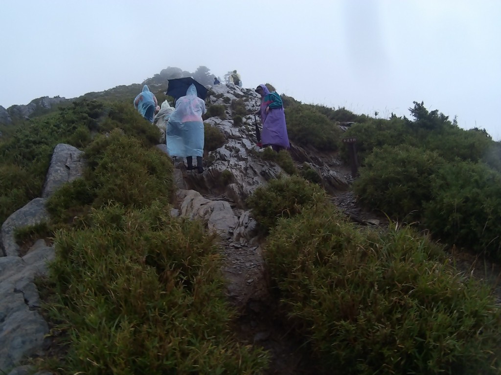 A (31).jpg A (31).jpg