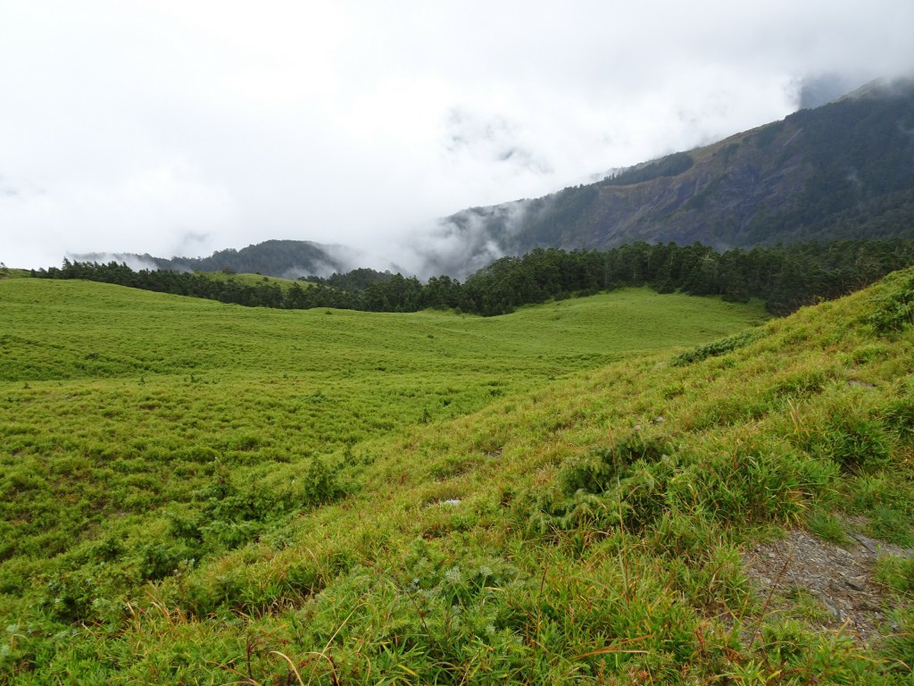 A (37).jpg A (37).jpg