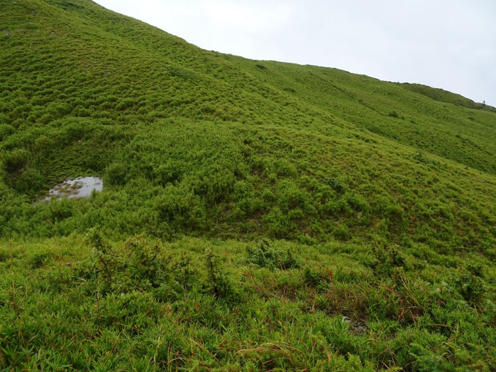 A (36).jpg A (36).jpg