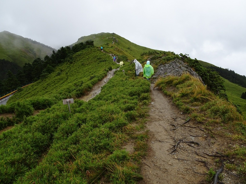 A (41).jpg A (41).jpg