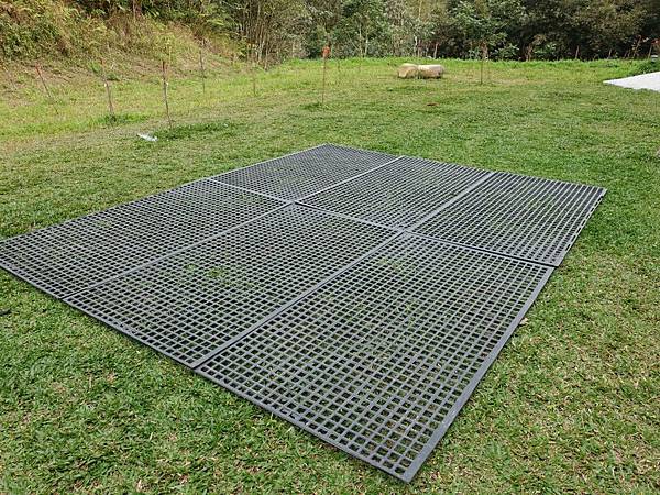 B2 (18)-1.jpg B2 (18)-1.jpg