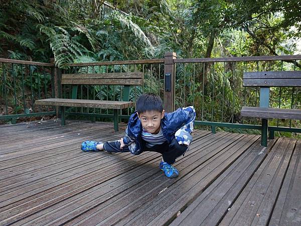 C1 (10).jpg C1 (10).jpg