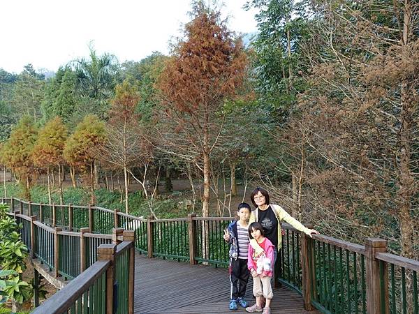 C1 (11).jpg C1 (11).jpg