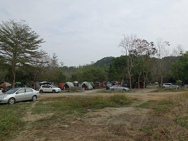 A1 (99).jpg A1 (99).jpg