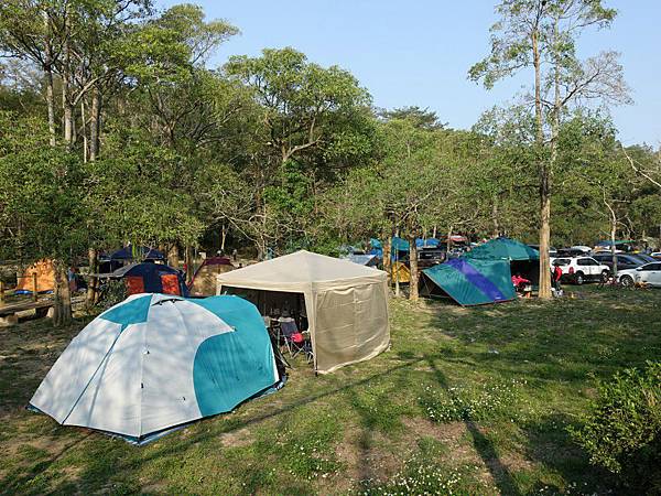 A1 (102).jpg A1 (102).jpg