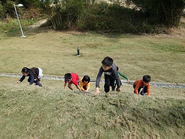 A1 (130).jpg A1 (130).jpg