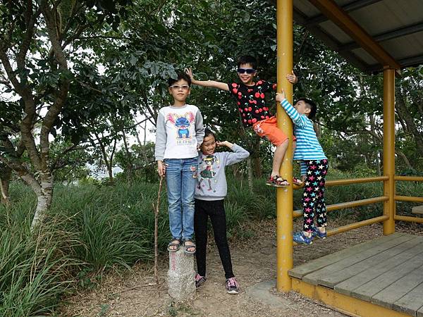 A1 (160).jpg A1 (160).jpg