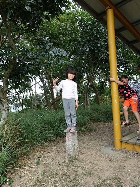 A1 (162).jpg A1 (162).jpg