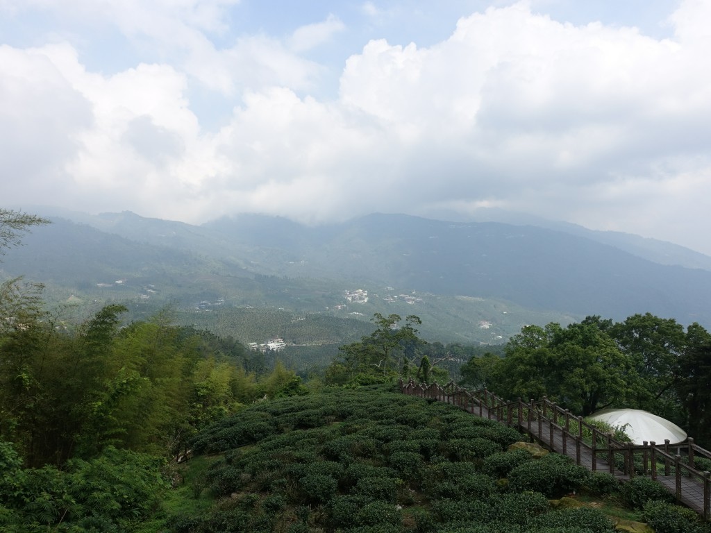 B1 (2)-1.jpg B1 (2)-1.jpg