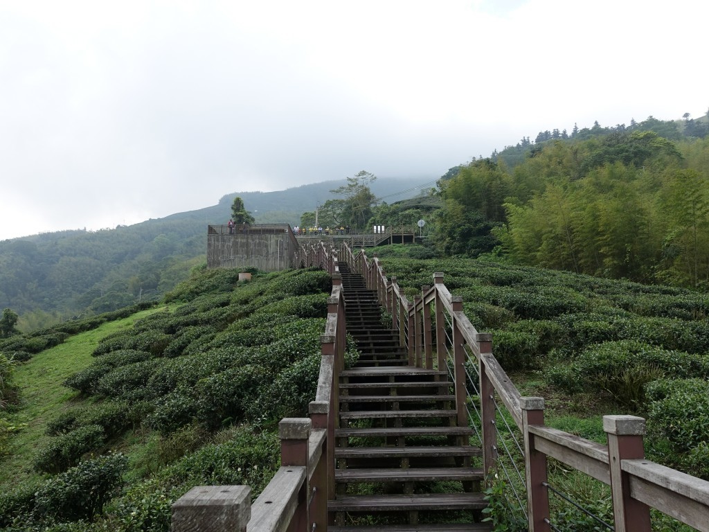 B1 (15)-1.jpg B1 (15)-1.jpg