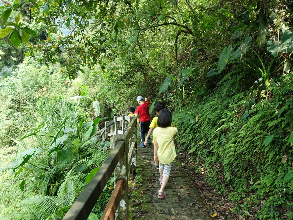 B1 (56).jpg B1 (56).jpg