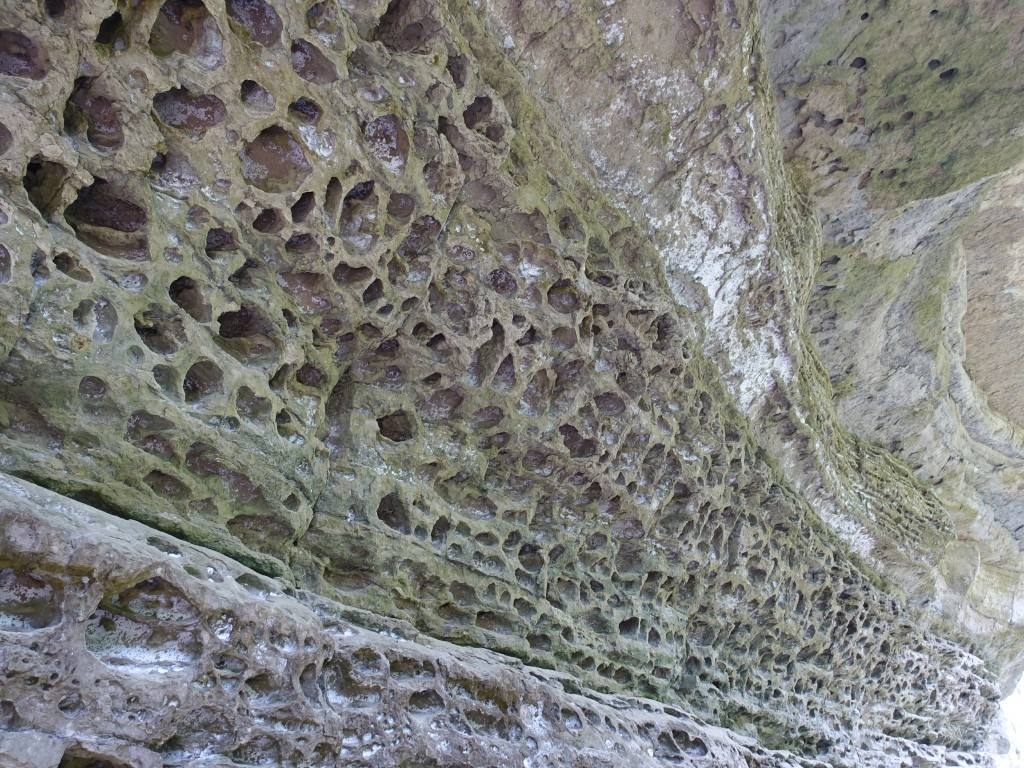 B1 (64).jpg B1 (64).jpg