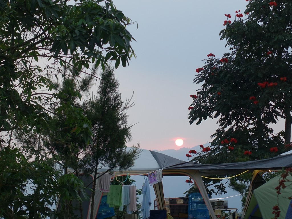 C1 (24).jpg C1 (24).jpg