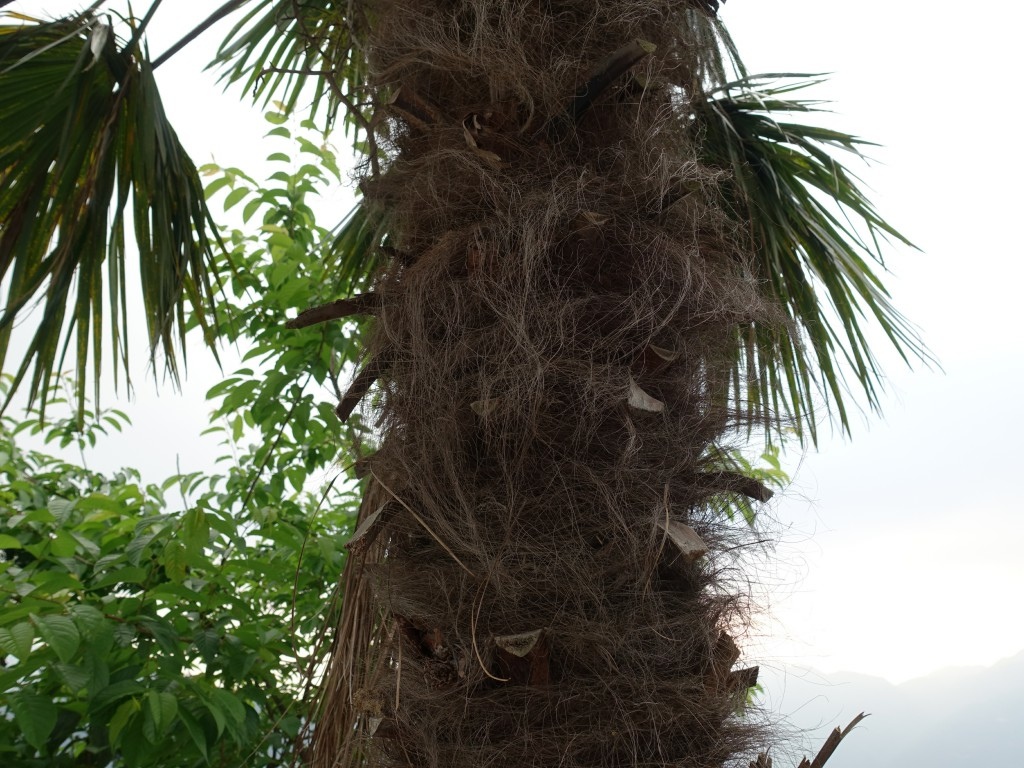 C1 (23).jpg C1 (23).jpg