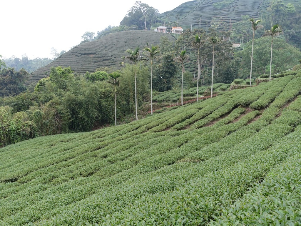 C1 (16)-1-4.jpg C1 (16)-1-4.jpg