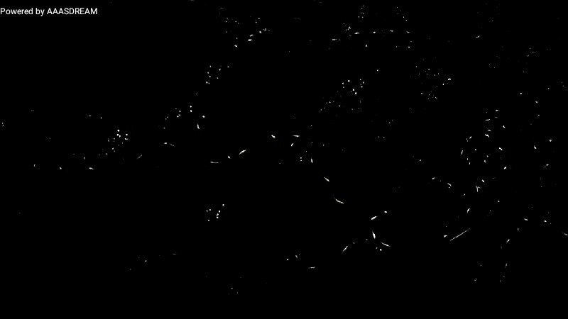 C1 (32)-1.jpg C1 (32)-1.jpg