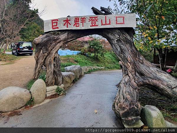 [新竹景點]司馬庫斯神木群一日遊