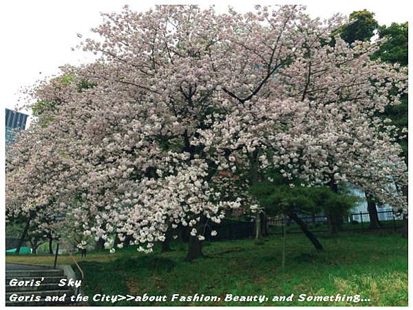 螢幕快照 2015-04-10 下午11.13.55.png