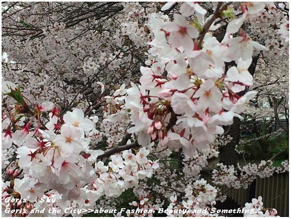 螢幕快照 2015-04-10 下午11.15.55.png