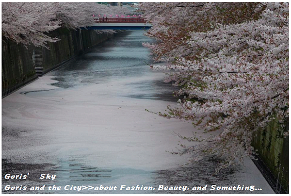 螢幕快照 2015-04-10 下午11.20.16.png