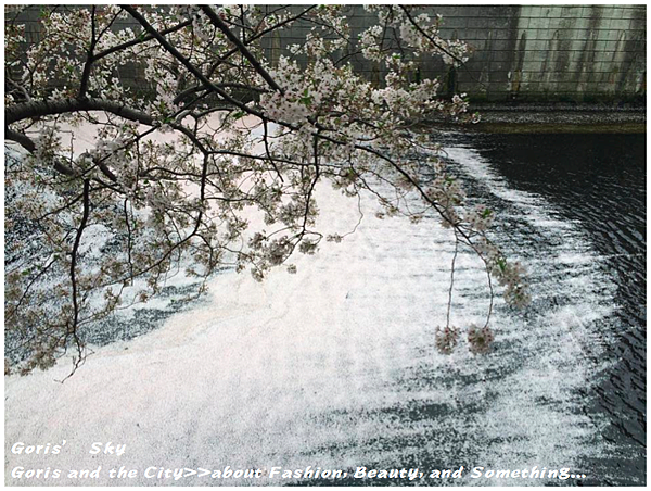 螢幕快照 2015-04-10 下午11.20.42.png