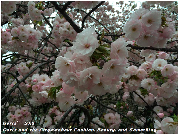 螢幕快照 2015-04-10 下午11.21.10.png