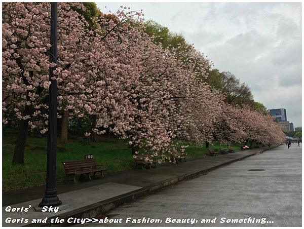 螢幕快照 2015-04-10 下午11.21.31.png