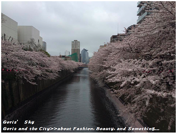 螢幕快照 2015-04-10 下午11.33.42.png