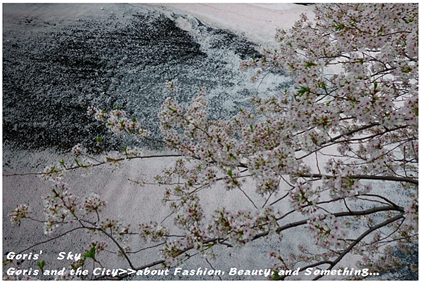 螢幕快照 2015-04-10 下午11.34.14.png