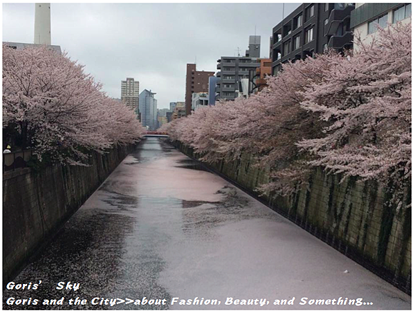 螢幕快照 2015-04-10 下午11.34.42.png