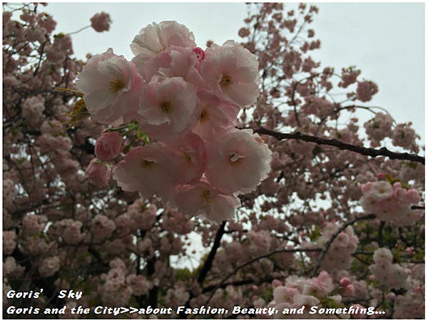 螢幕快照 2015-04-10 下午11.36.08.png