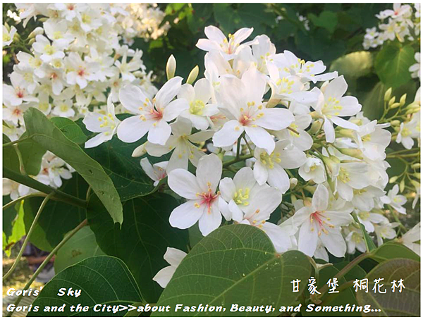 螢幕快照 2015-04-30 下午9.40.48.png