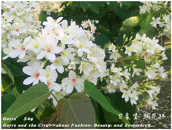 螢幕快照 2015-04-30 下午9.42.59.png