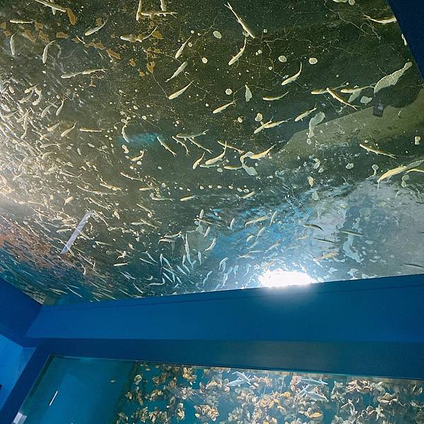 202087_200807_11 202087_200807_11