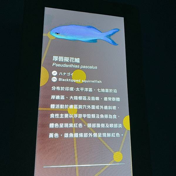 202087_200807_12 202087_200807_12