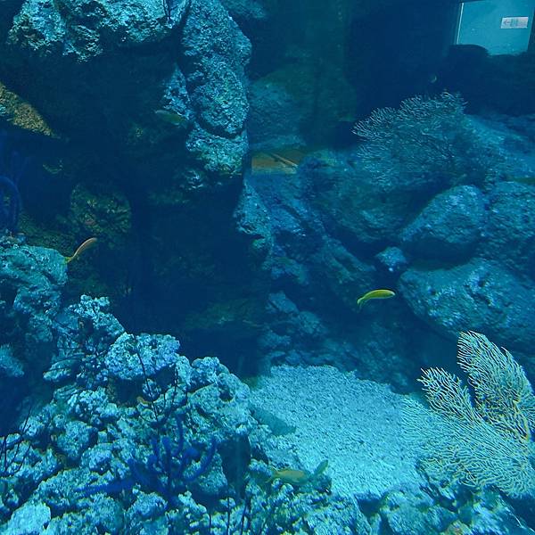 202087_200807_13 202087_200807_13