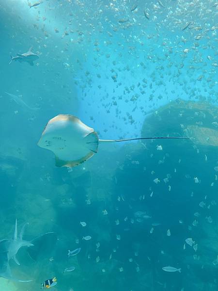 202087_200807_17 202087_200807_17