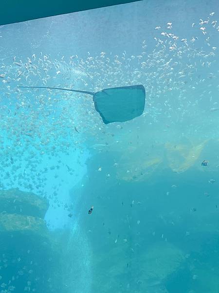 202087_200807_14 202087_200807_14