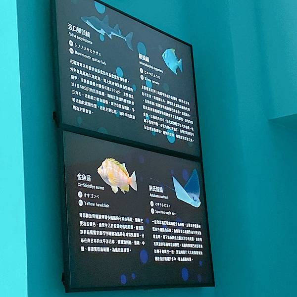 202087_200807_15 202087_200807_15