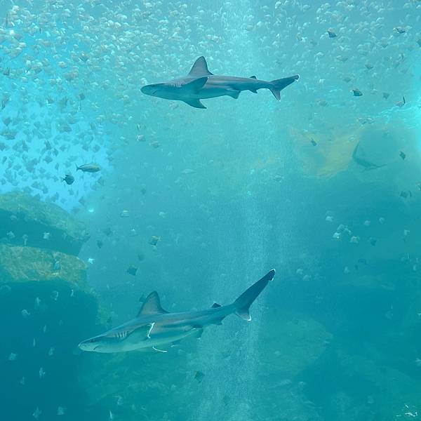 202087_200807_16 202087_200807_16