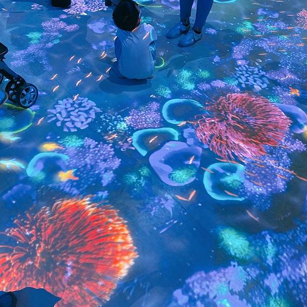 202087_200807_25 202087_200807_25