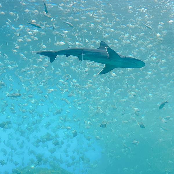 202087_200807_18 202087_200807_18