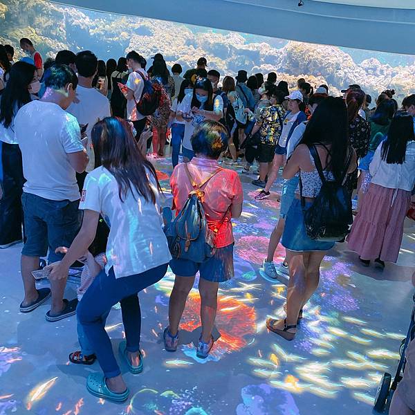 202087_200807_24 202087_200807_24