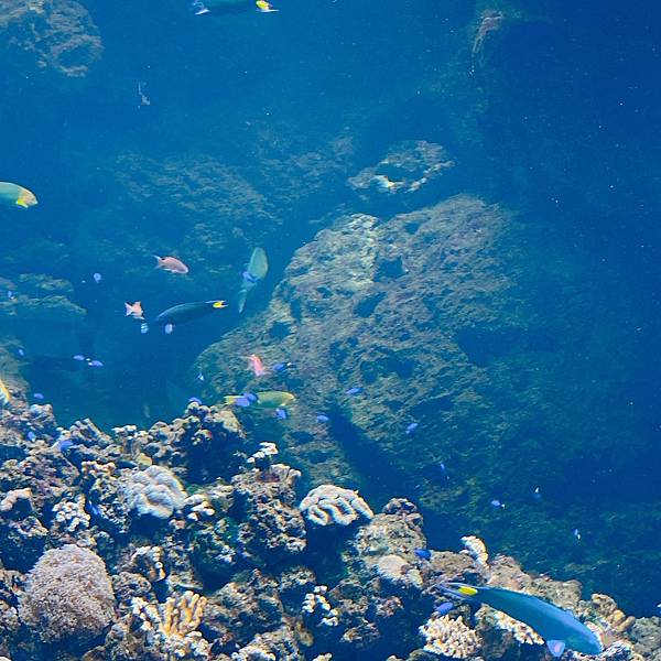 202087_200807_27 202087_200807_27