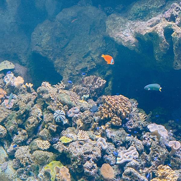 202087_200807_26 202087_200807_26