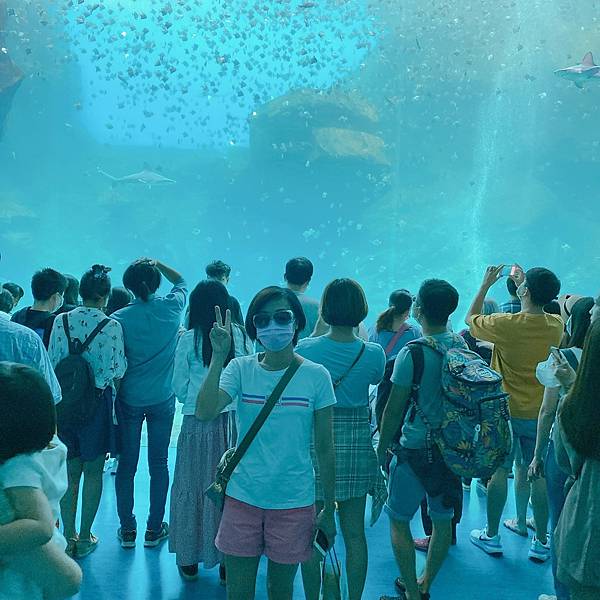 202087_200807_22 202087_200807_22