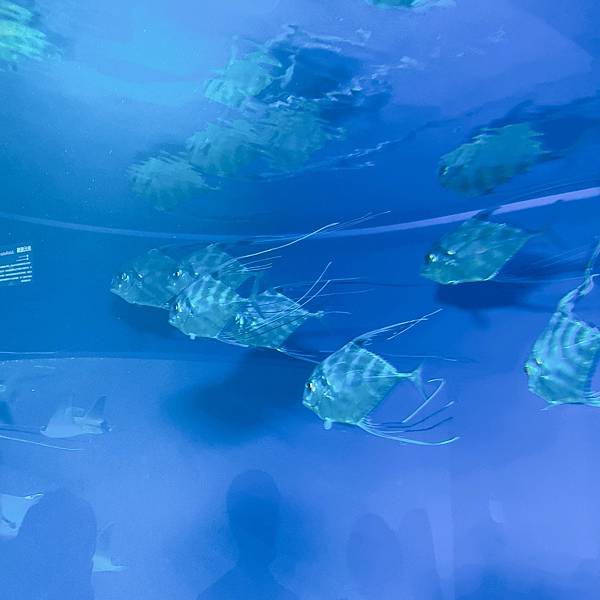 202087_200807_40 202087_200807_40