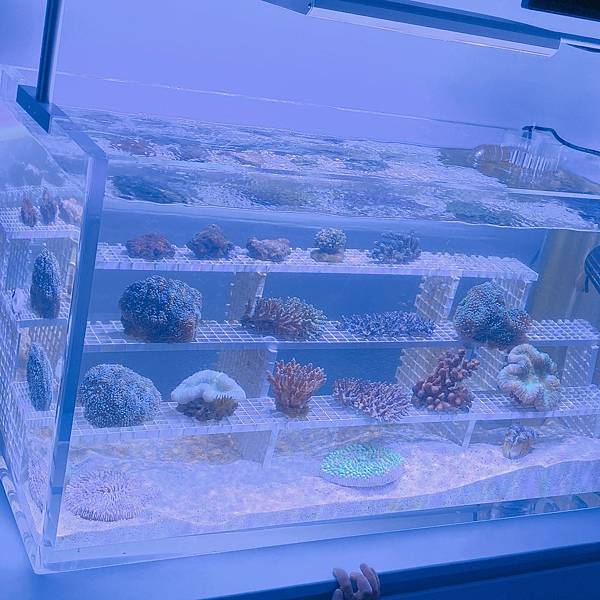 202087_200807_30 202087_200807_30