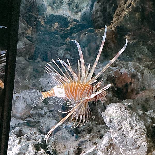 202087_200807_34 202087_200807_34